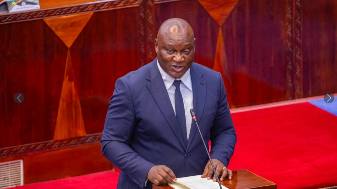 Tanzania’s Agriculture Budget Has Opened the Door for a New Agricultural Revolution