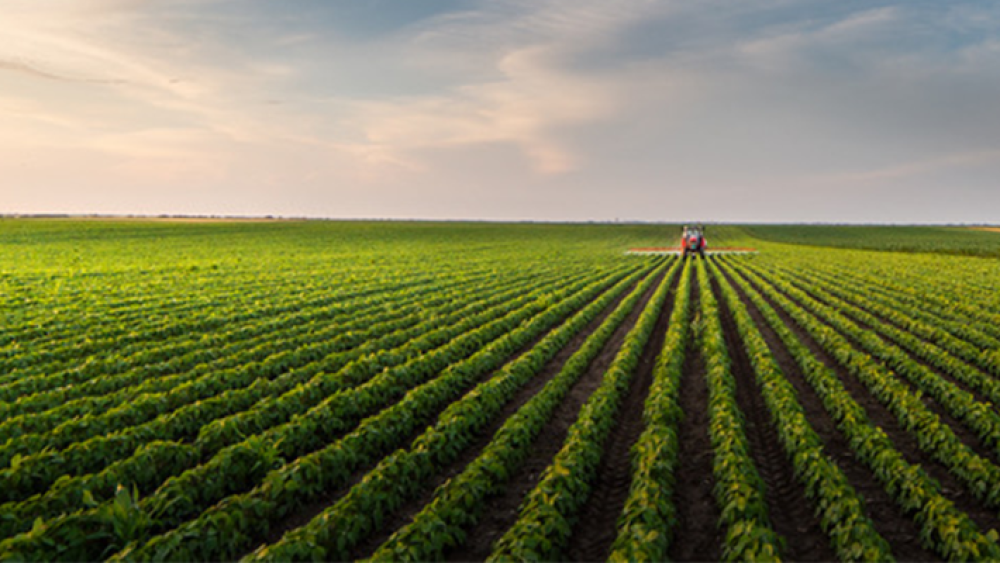 crop sourcing and traceability management system: Cropsupply.com